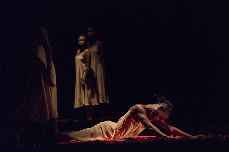 Pina Bausch “The Rite of Spring”