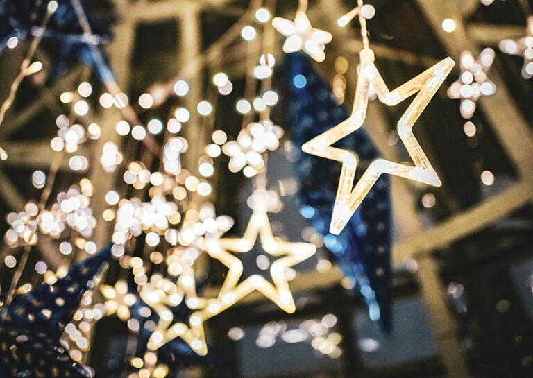 Holiday party lights